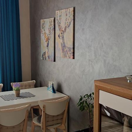 Alisa Apartment 플로브디프 외부 사진